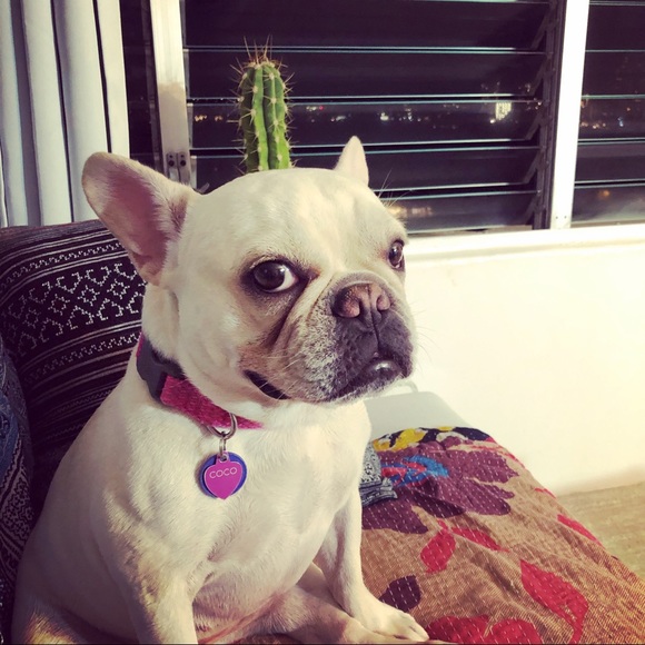 Meet your Posher, Jess - Picture 2 of 2